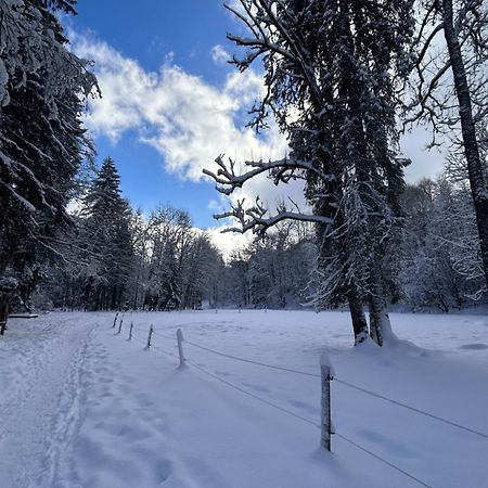 Готель Chalet La Pastorale Морзін Екстер'єр фото